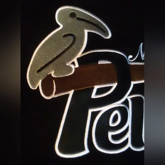 New Orleans Pelicans Negro League Baseball Wool Letterman Jacket Men's 5XLT Blk - Picture 6 of 16